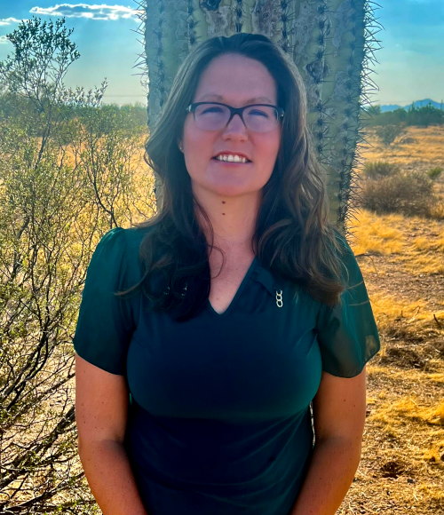 Lead of Sales and Marketing