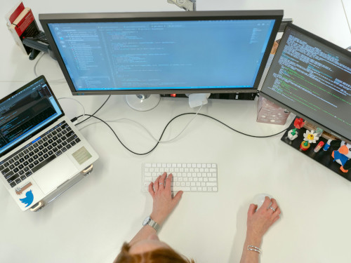 Services: Services: Software Engineering/Web Development